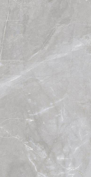 Luxury Amani Grey Matte 24 x 48